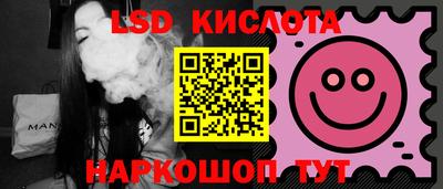 крисы Можга