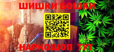 крисы Можга