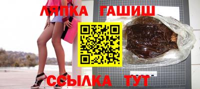 крисы Можга