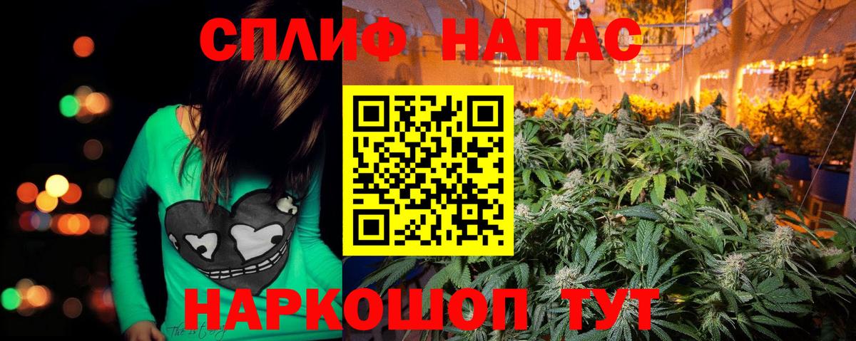 Аша  Каннабис VHQ  Вход с VPN  Бошки марихуана сатива  Шишки марихуана план 